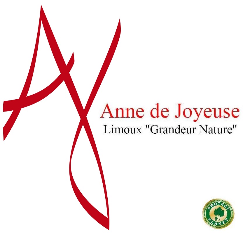 ANNE DE JOYEUSE - LIMOUX