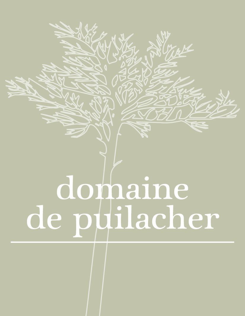 Domaine de Puilacher
