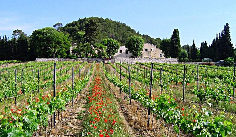 Domaine Maspiquet