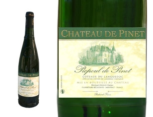 Chateau de Pinet