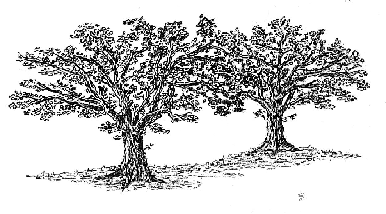 DOMAINE DES CHENES