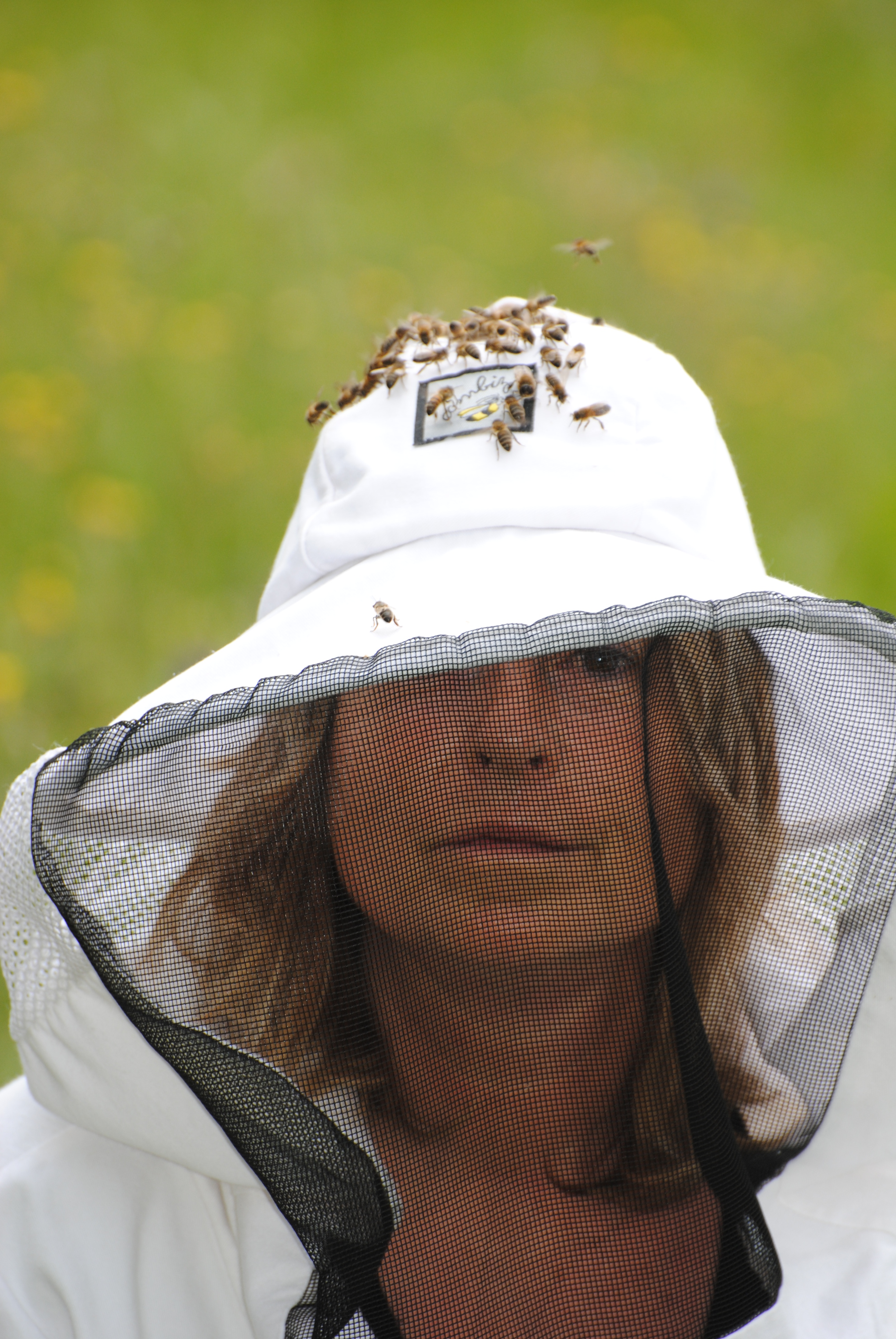 Les Sentiers d'Eglantine