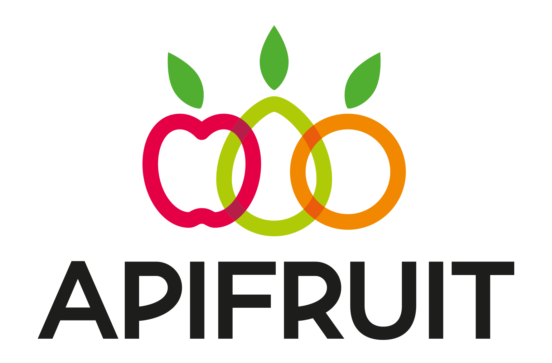 FRUGAM SAS