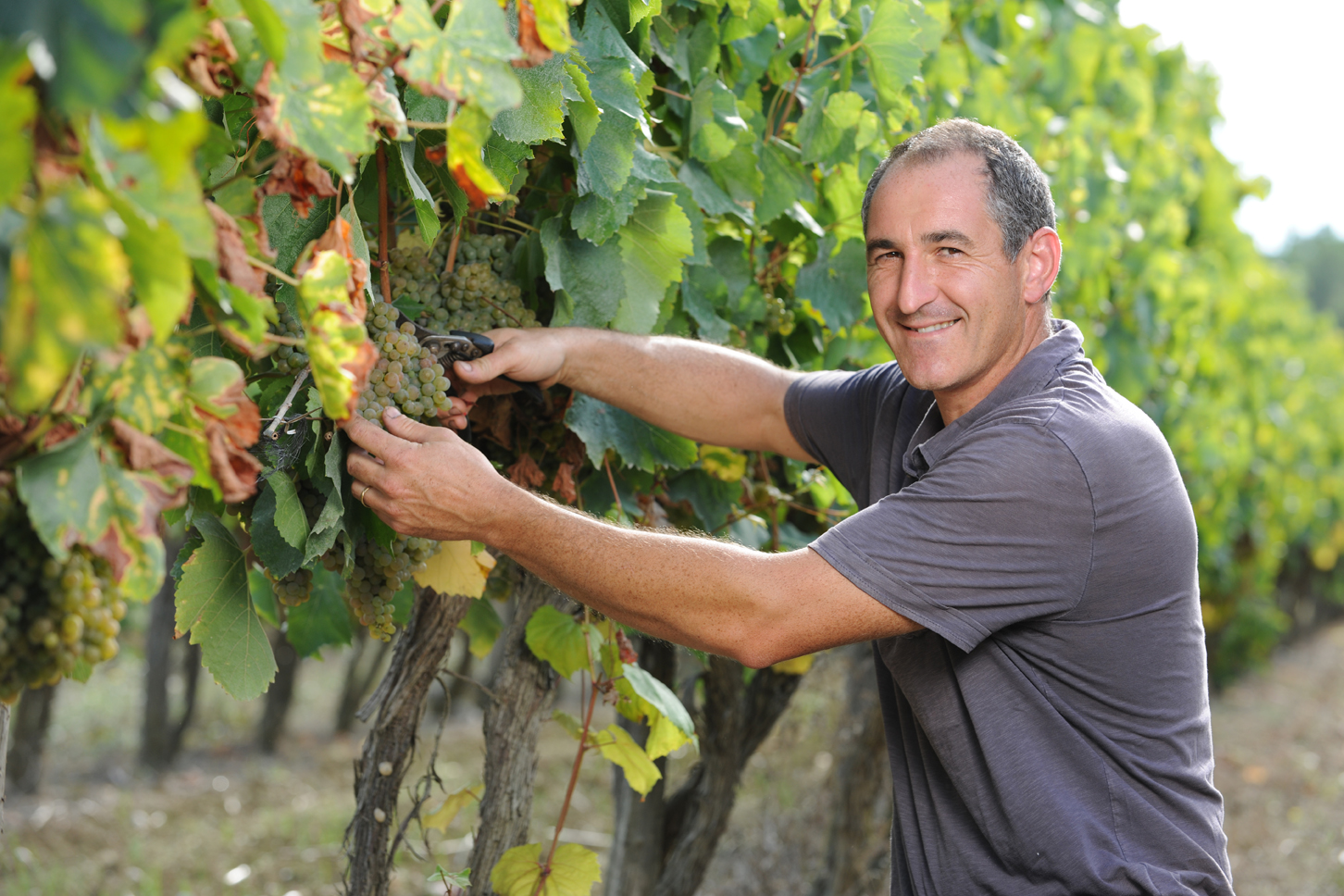 DOMAINE DE MAGNAUT