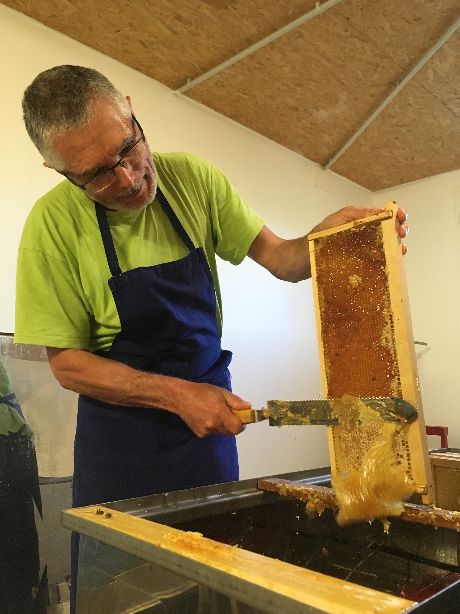 Apiculteur Rémy NAVASQUEZ  Le Berger des Abeilles