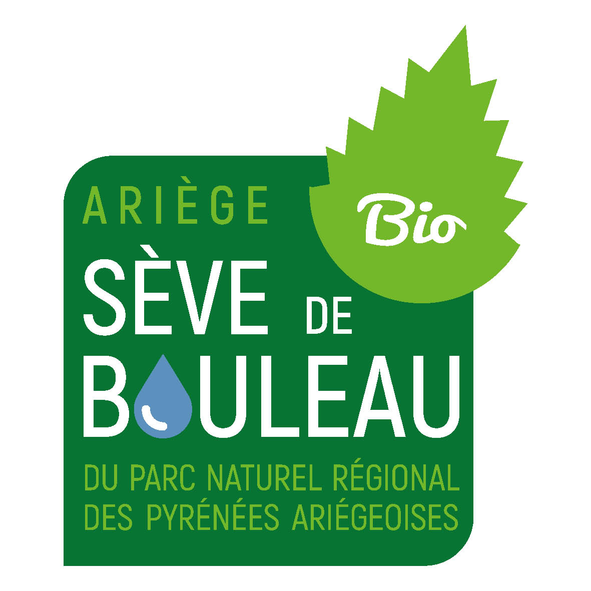 Seve de Bouleau Bio