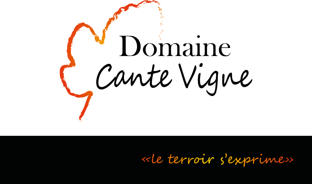 Domaine Cante Vigne