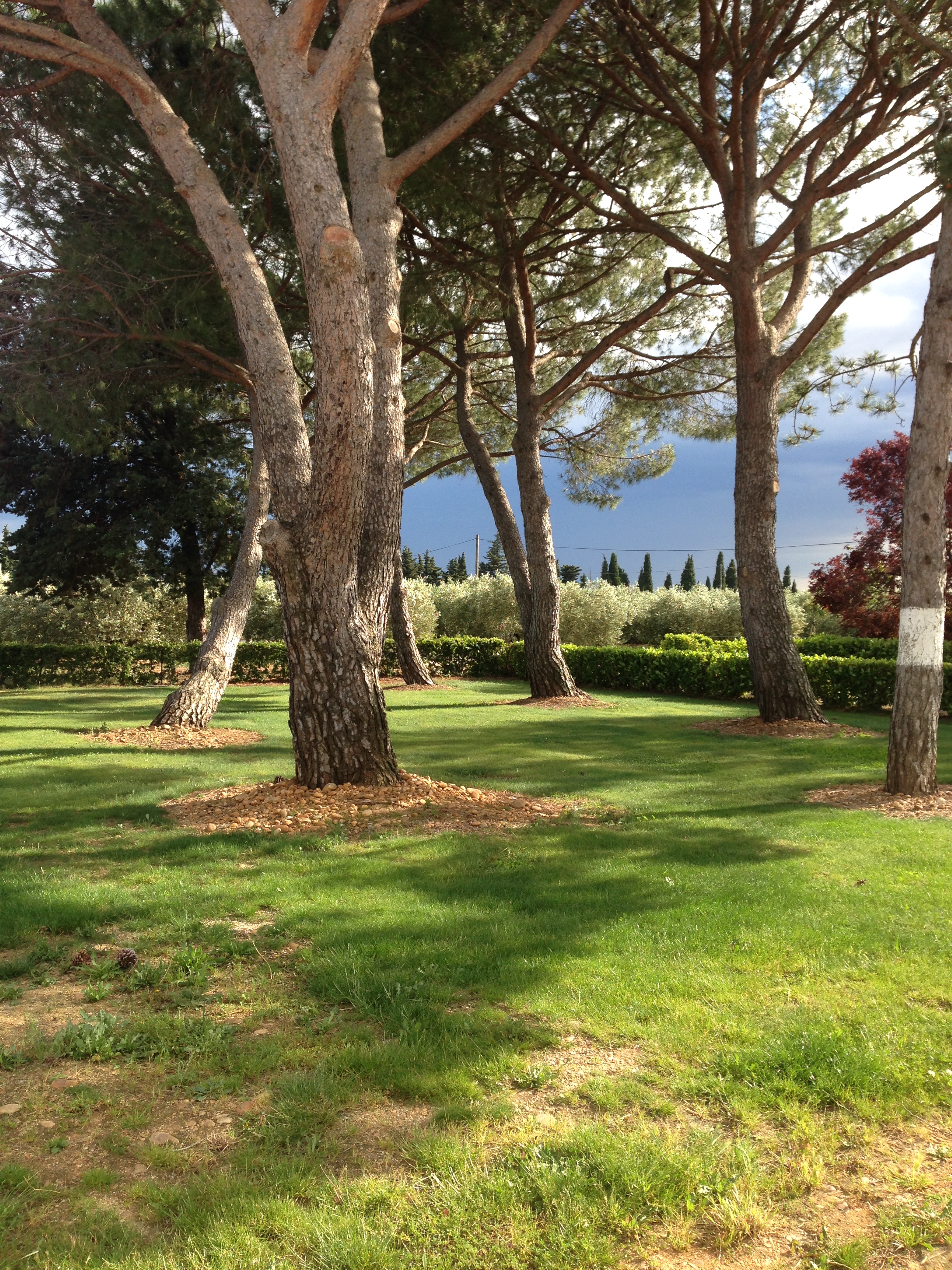 CHATEAU DE MONTFRIN