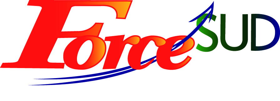 Force Sud