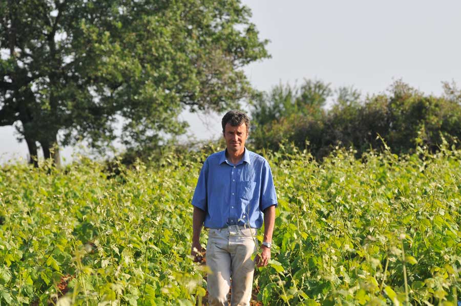 Domaine La Font De L'olivier