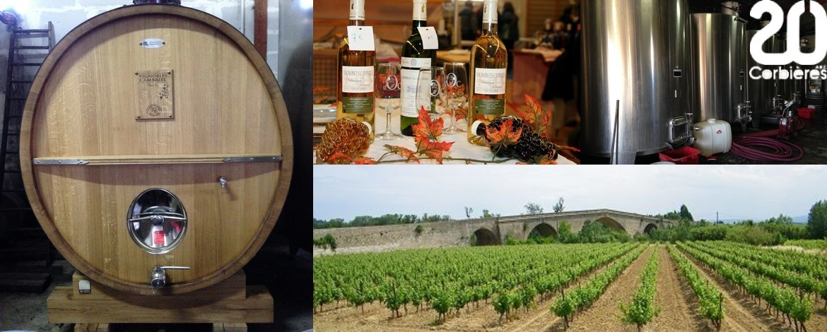 Chateau Cambriel