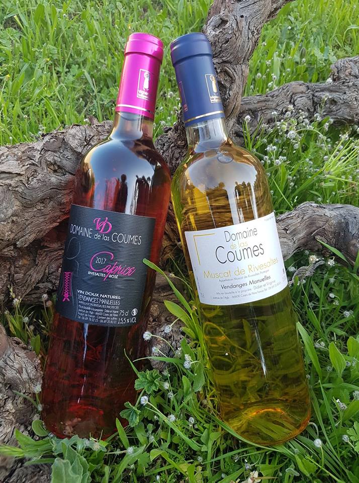 MUSCAT DE RIVESALTES