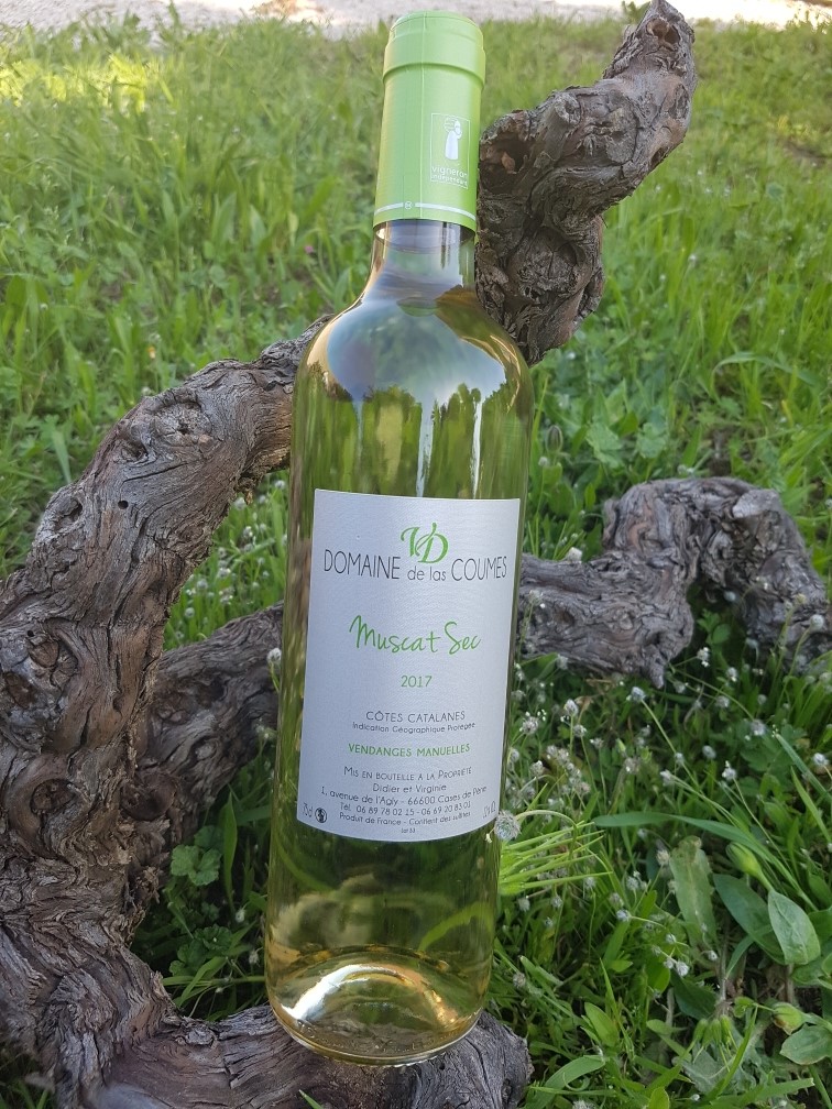 Muscat sec