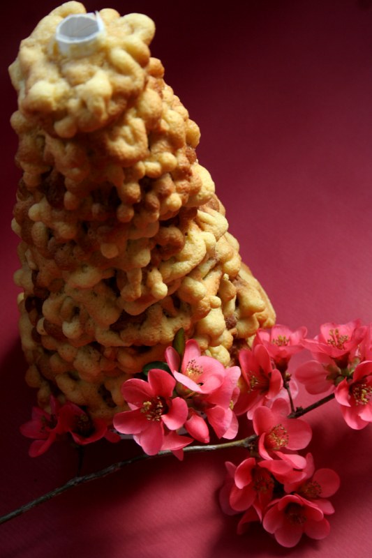 Gâteau à la broche