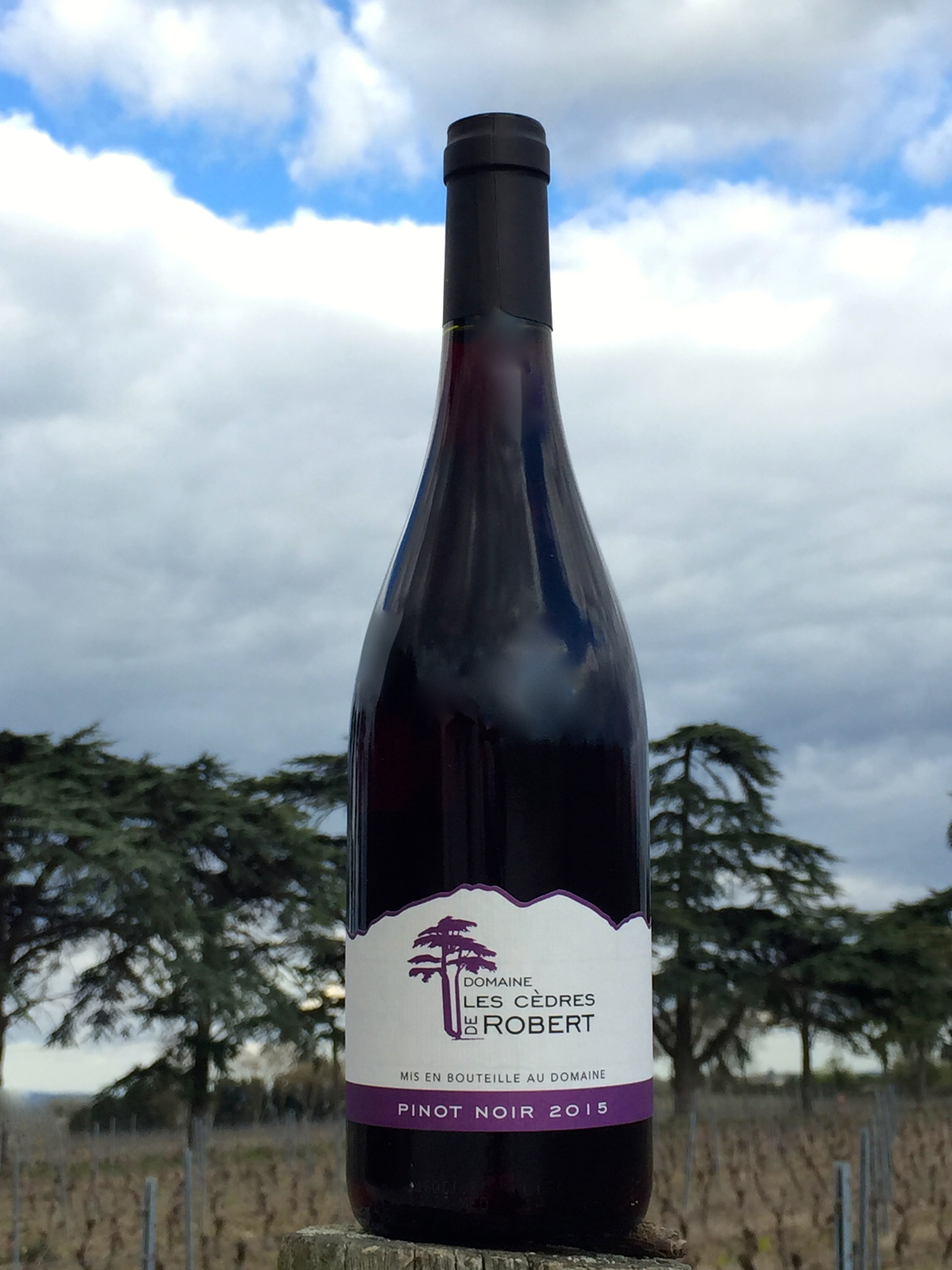 DOMAINE LES CEDRES DE ROBERT PINOT NOIR