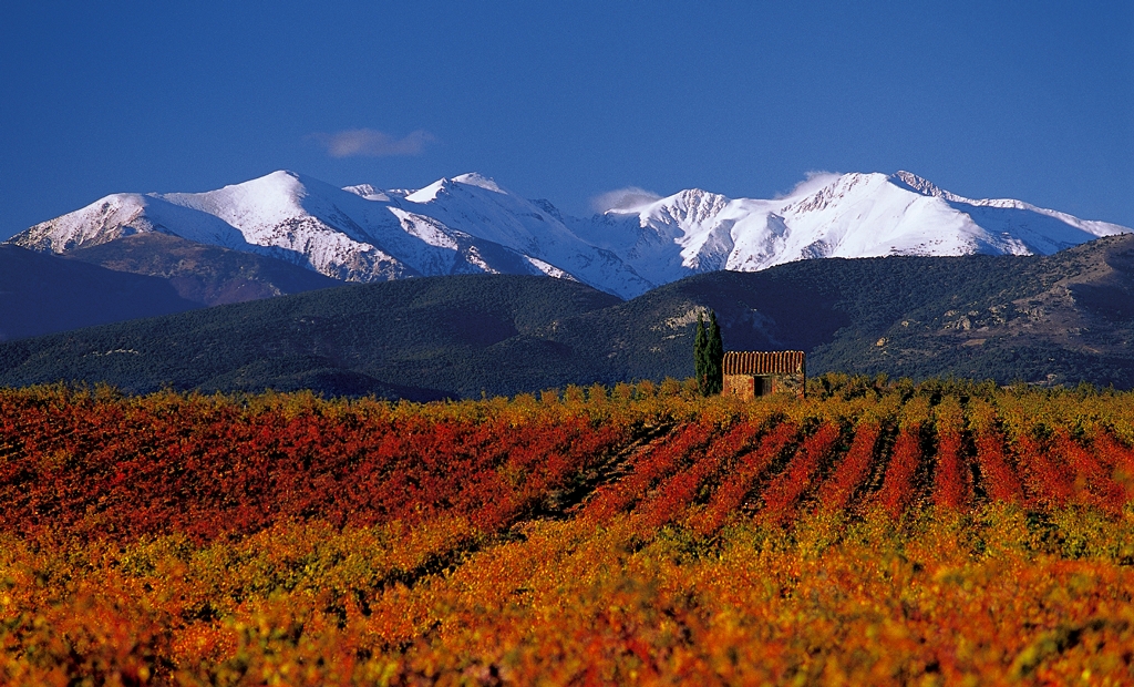 Grand Terroir Les Aspres