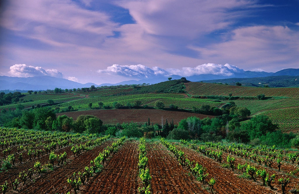 Grand Terroir Les Aspres