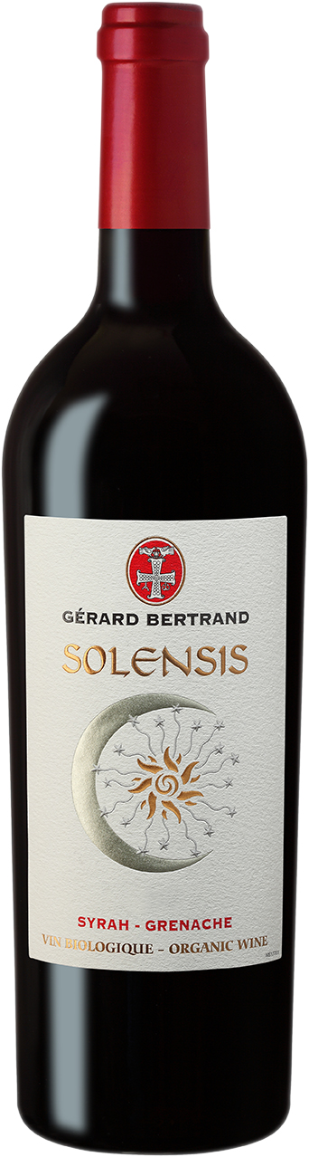 Solensis