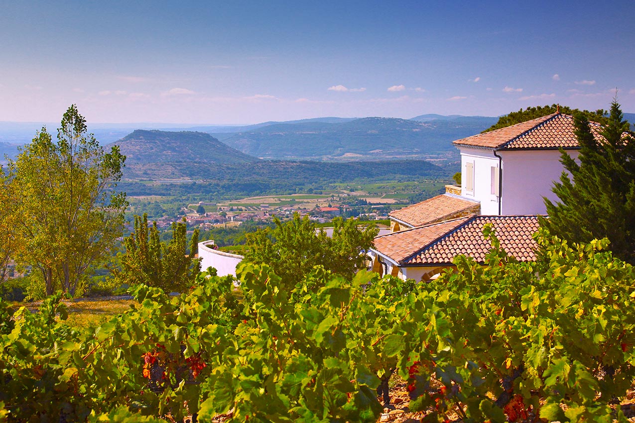 Chateau La Sauvageonne Grand Vin