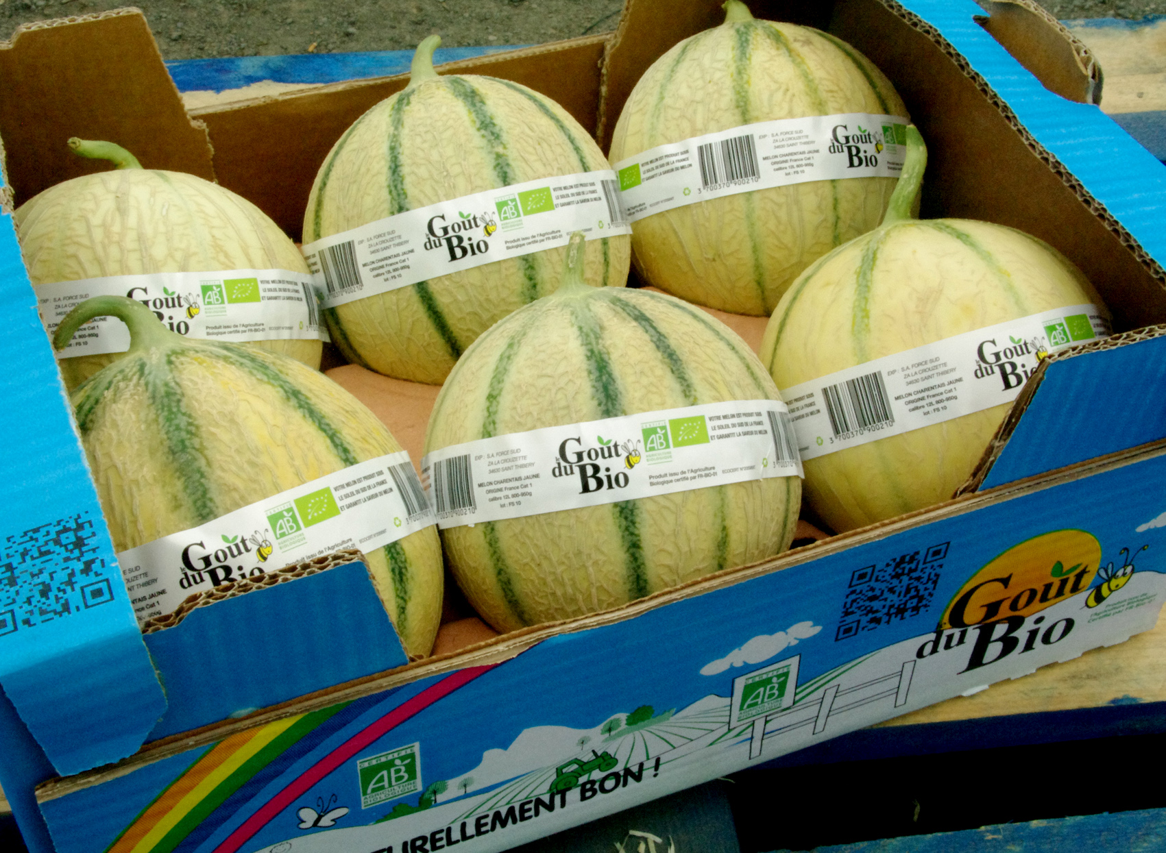 MELON GOUT DU BIO