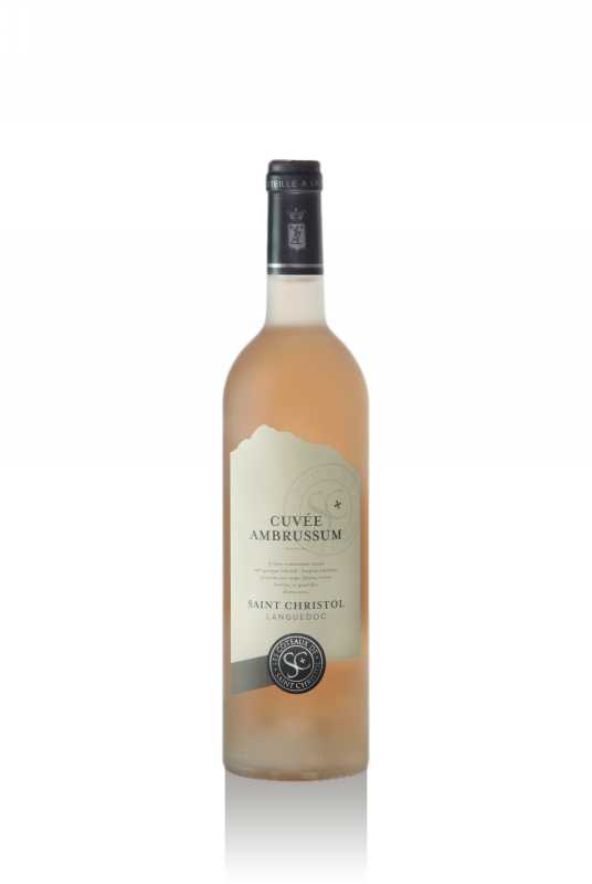 Ambrussum rose