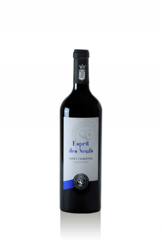 Esprit des Neufs