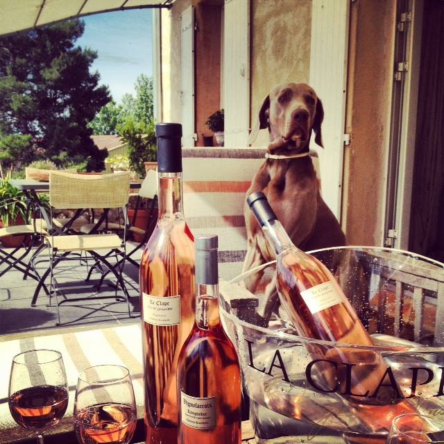 Vignelacroix Rose 2024