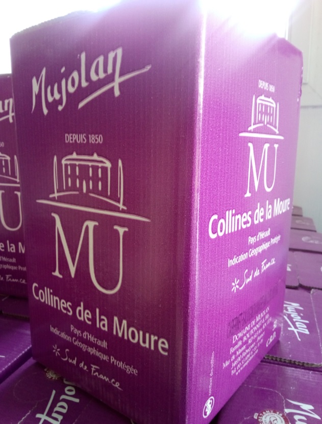 Bag in Box Cabernet-Sauvignon / Marselan