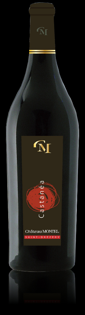 CASTANÉA 2012