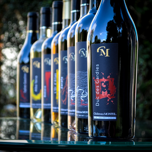DUC DES GARDIES 2011