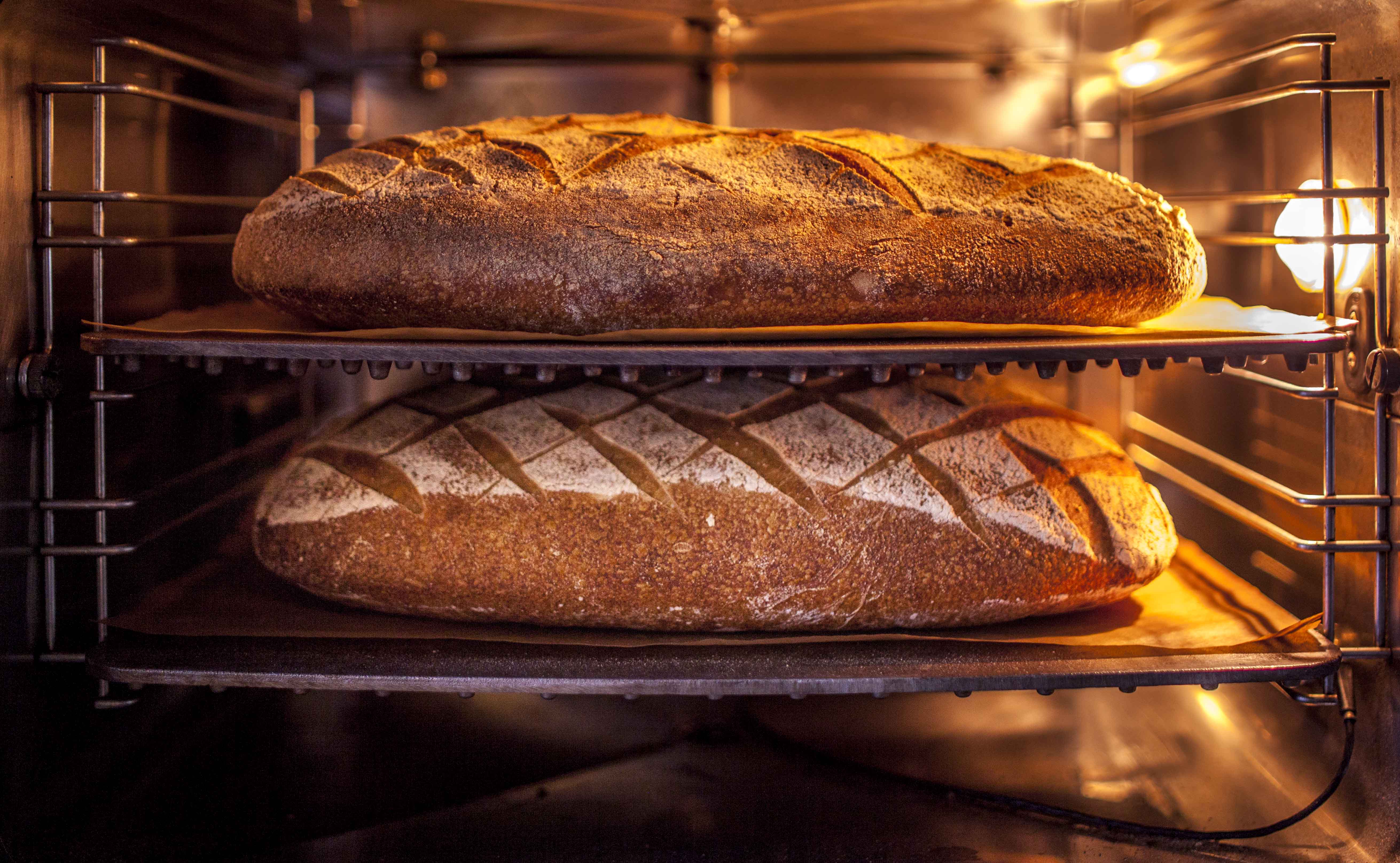 Pain de blé truffier