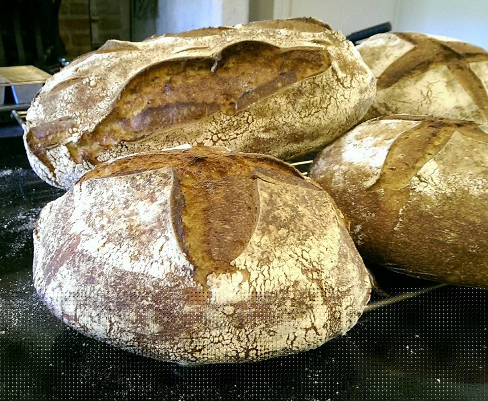 Pain de blé truffier