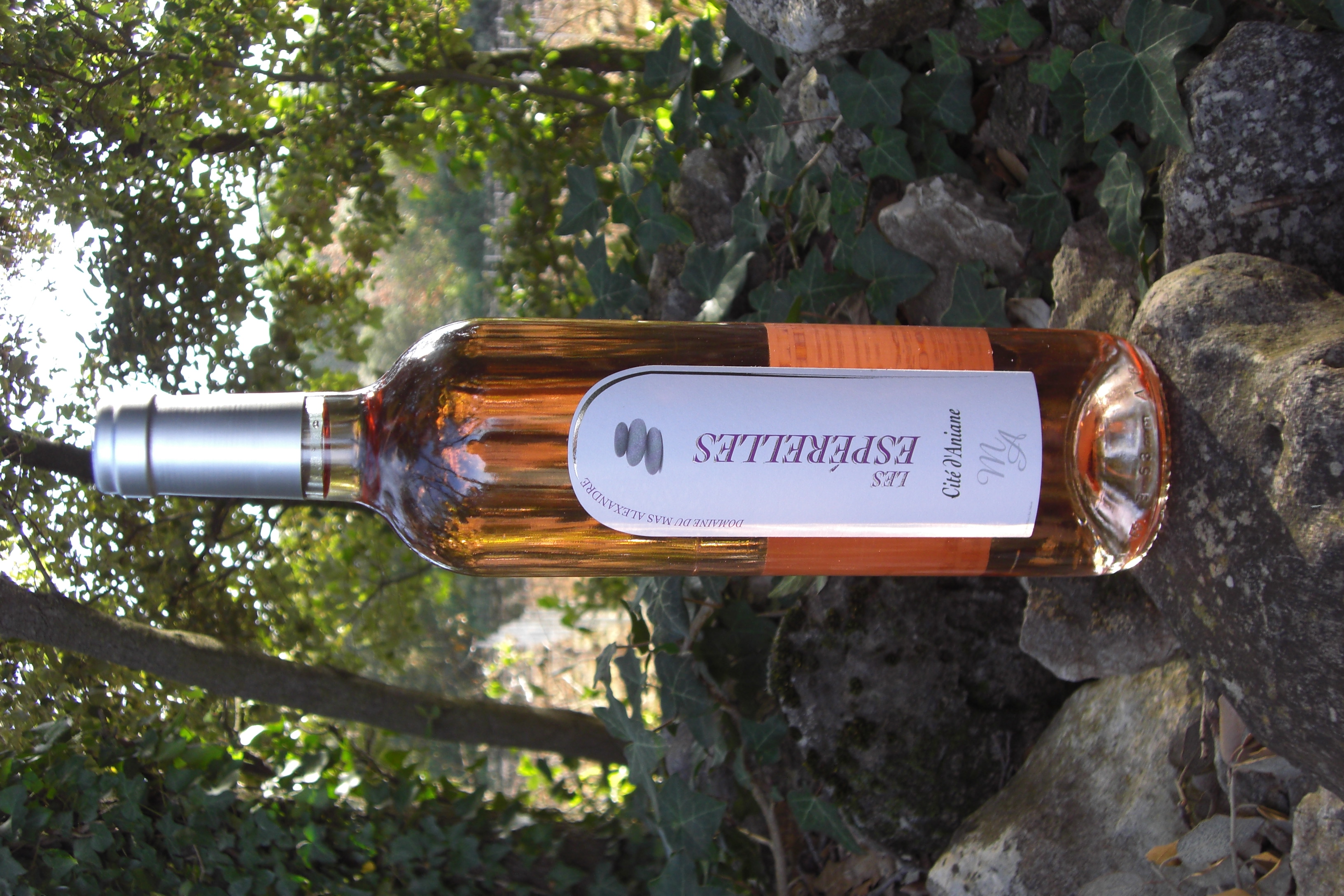 Les Espérelles - Rosé