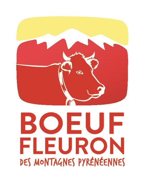 boeuf Fleuron des Montagnes Pyreneennes