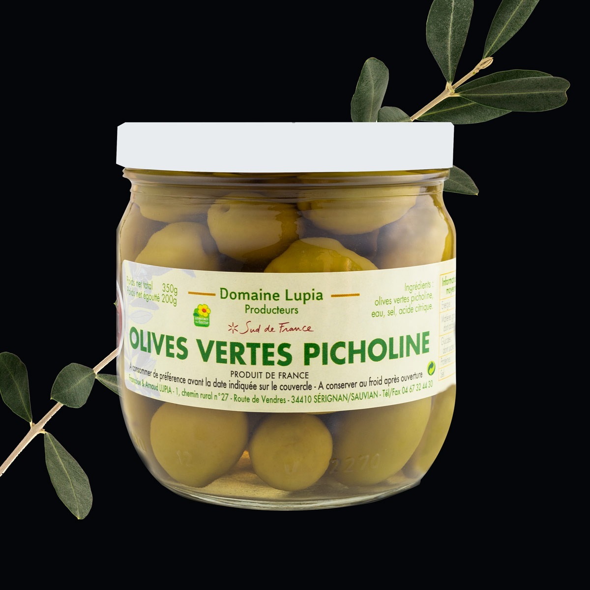 Picholine