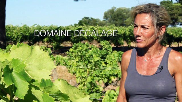 100% Vieux Carignan