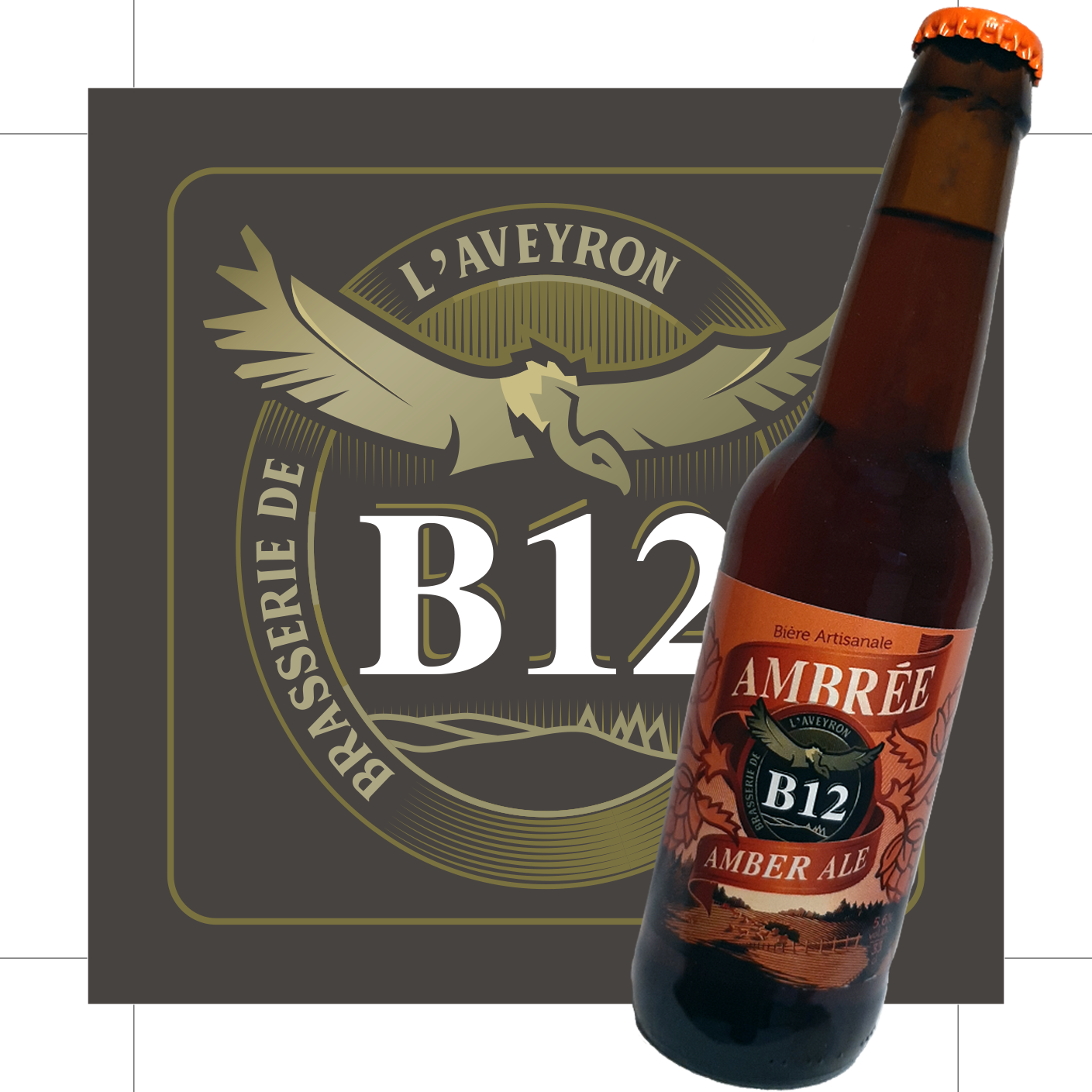 B12 AMBREE