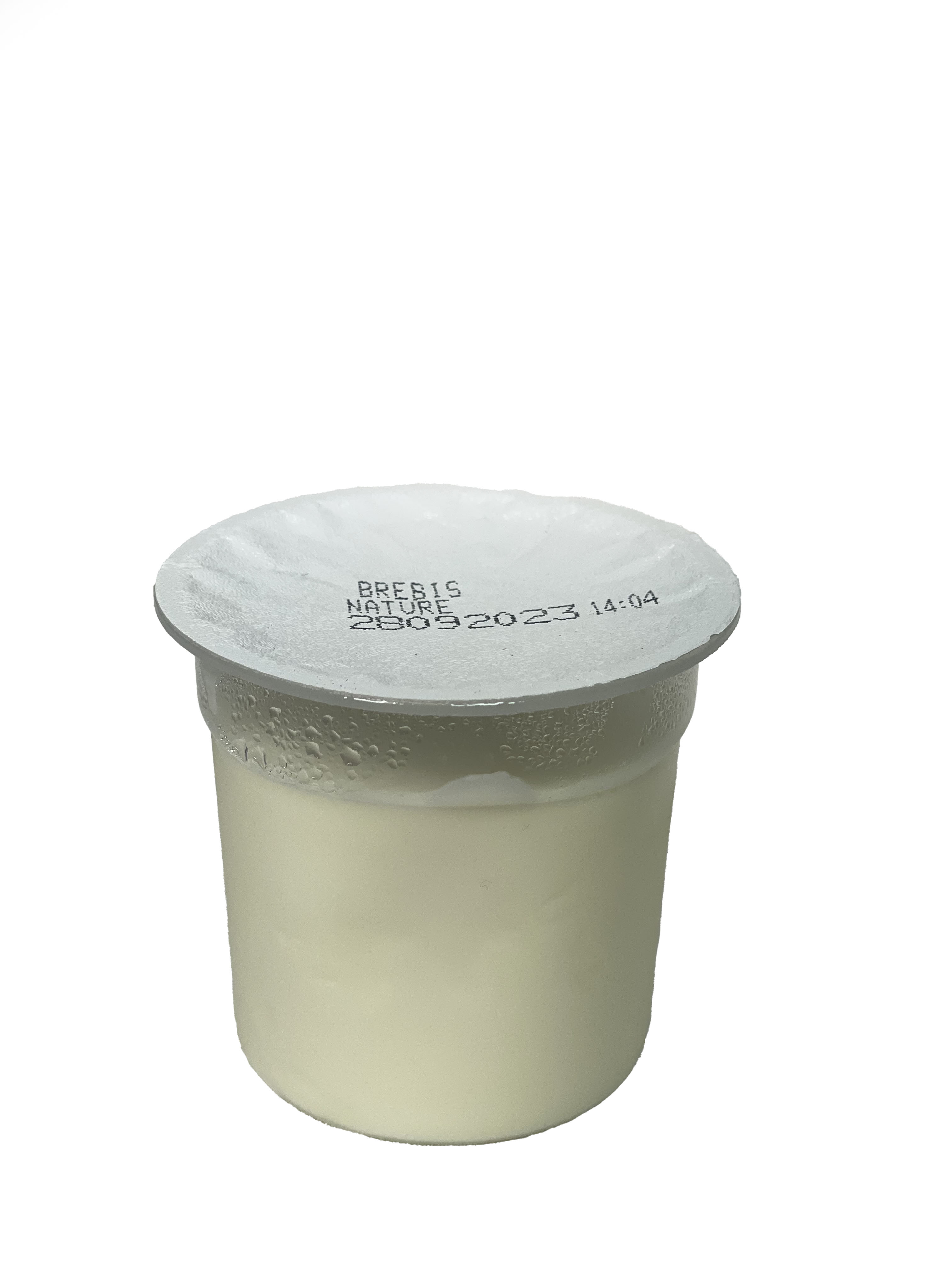 Yaourt au lait de brebis bio Nature RHD