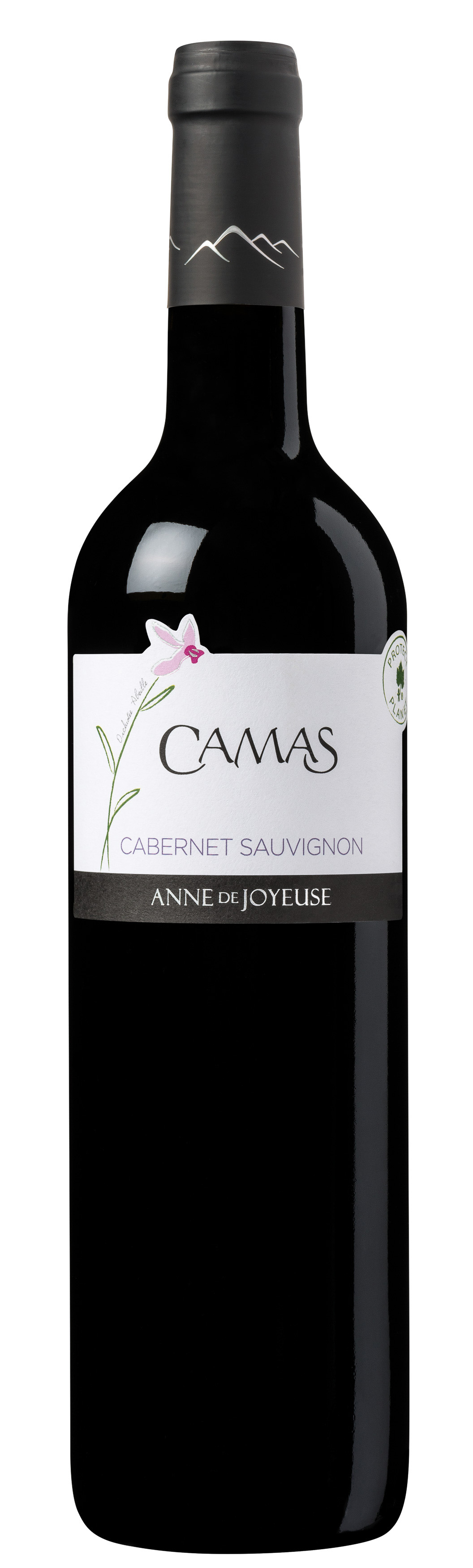 CAMAS CABERNET SAUVIGNON