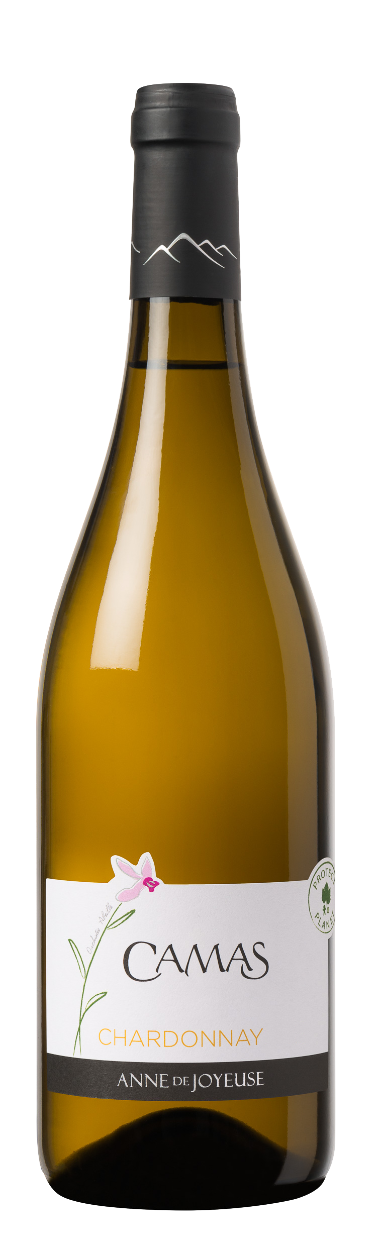 CAMAS CHARDONNAY