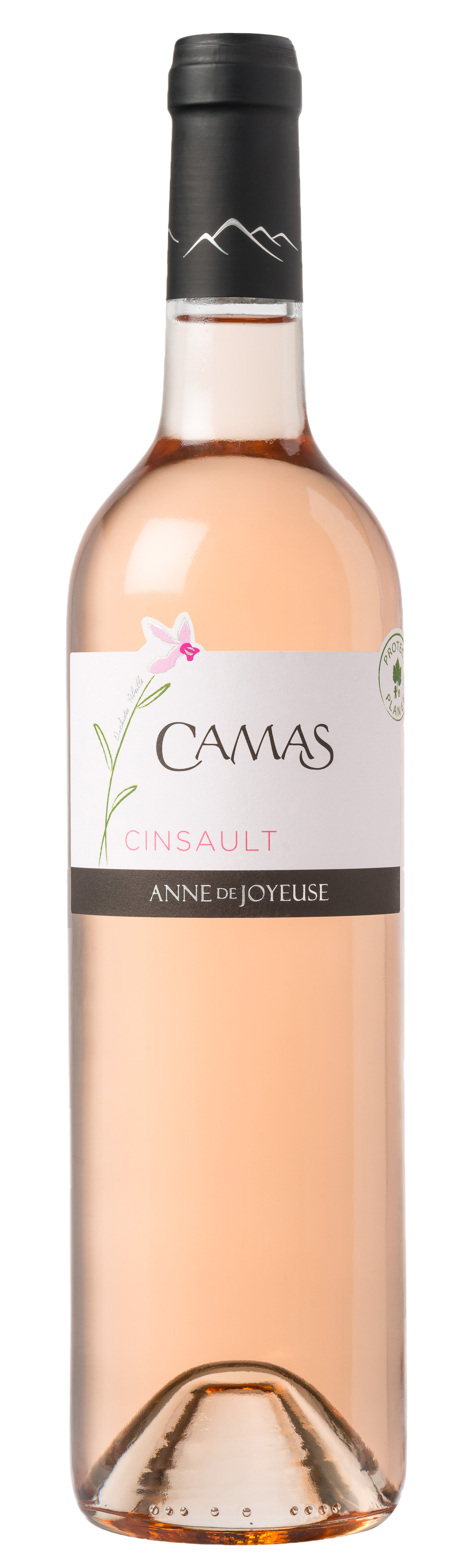 CAMAS CINSAULT-ROSE