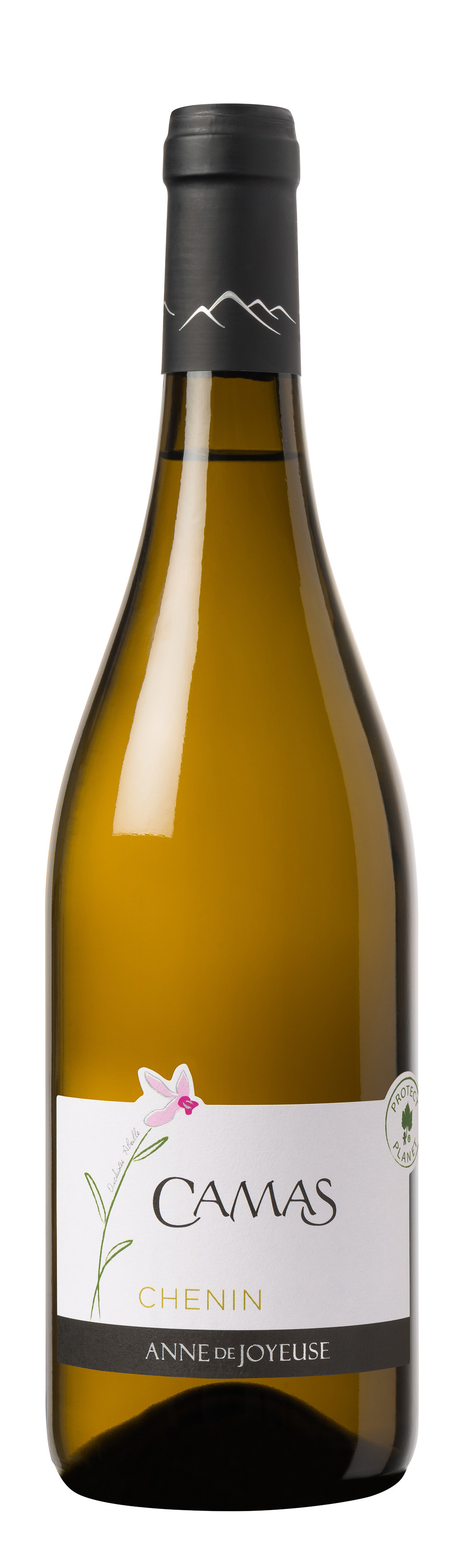 CAMAS CHENIN-BLANC
