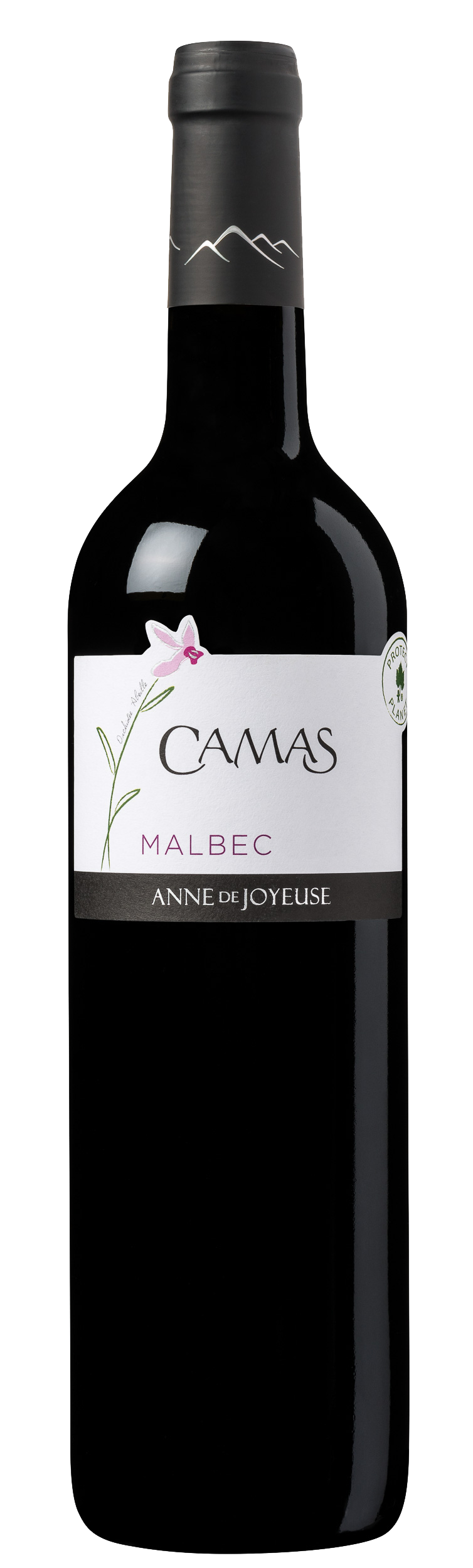 CAMAS MALBEC-ROUGE