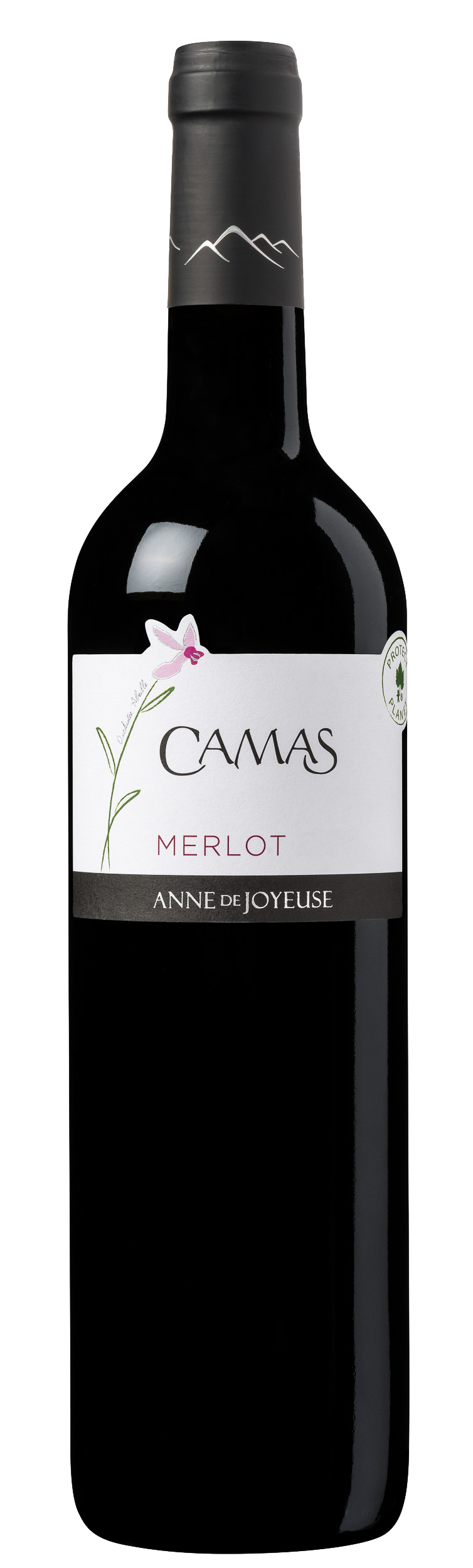 CAMAS MERLOT-ROUGE