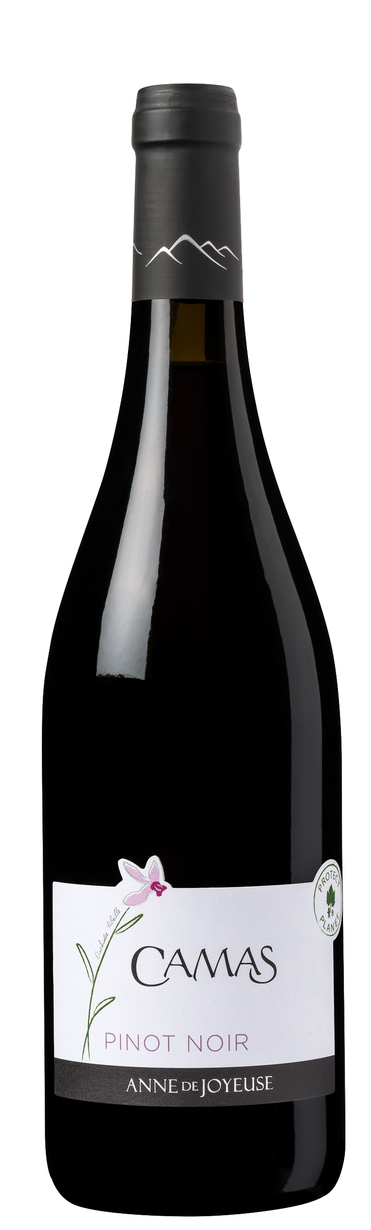 CAMAS PINOT NOIR