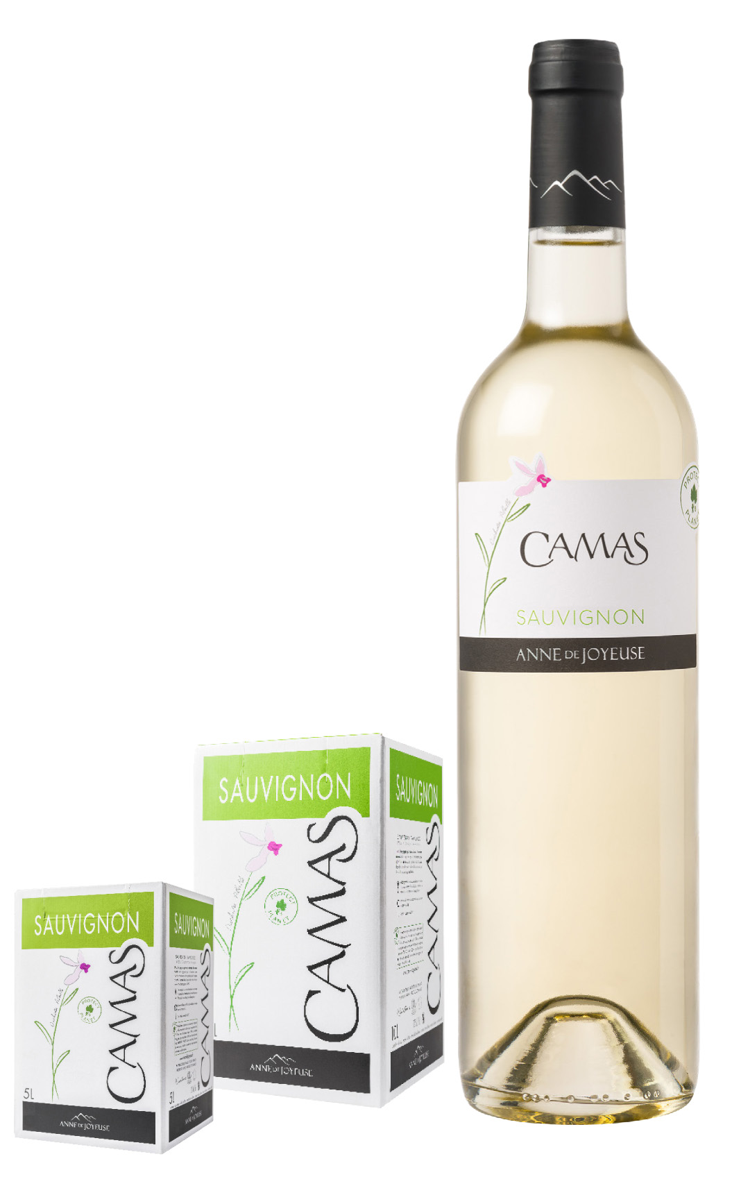 CAMAS SAUVIGNON