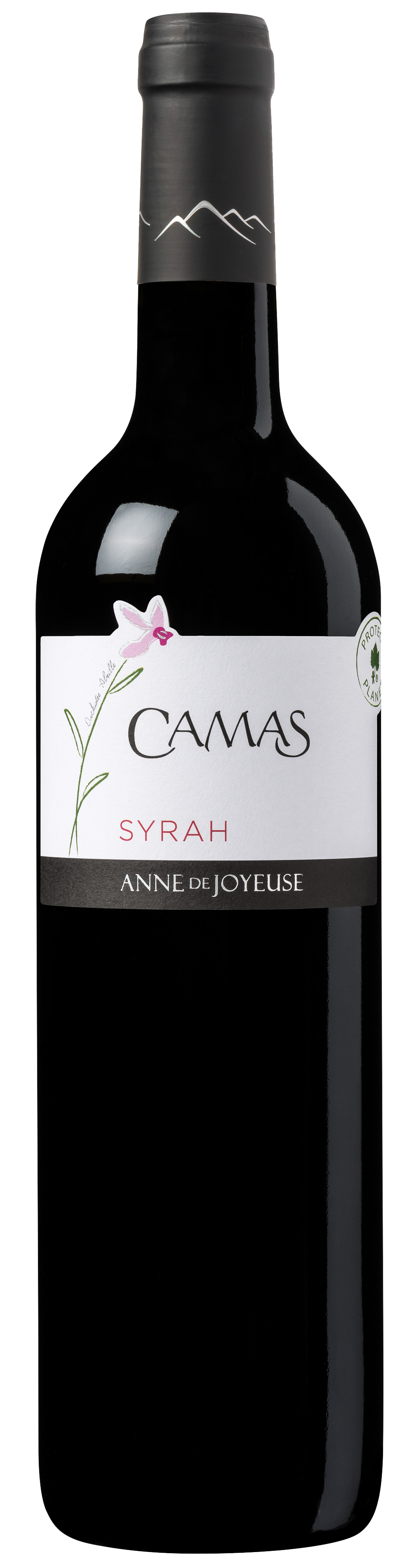 CAMAS SYRAH-ROUGE