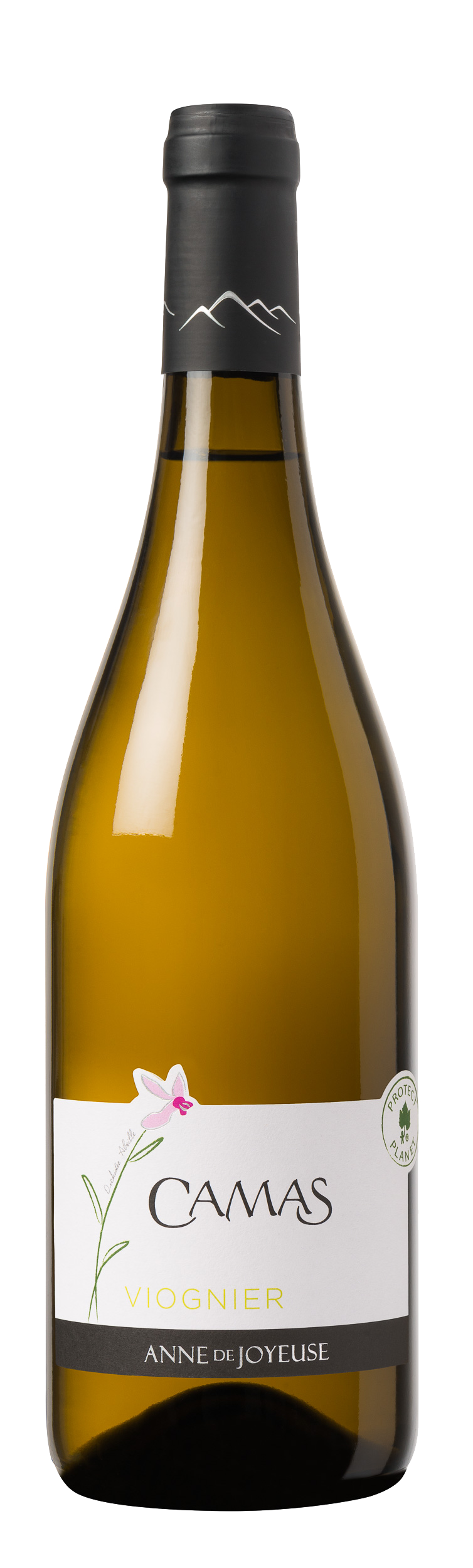 CAMAS VIOGNIER