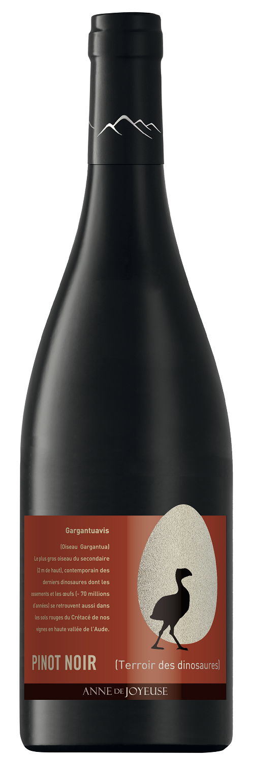 DINO GARGANTUAVIS PINOT NOIR