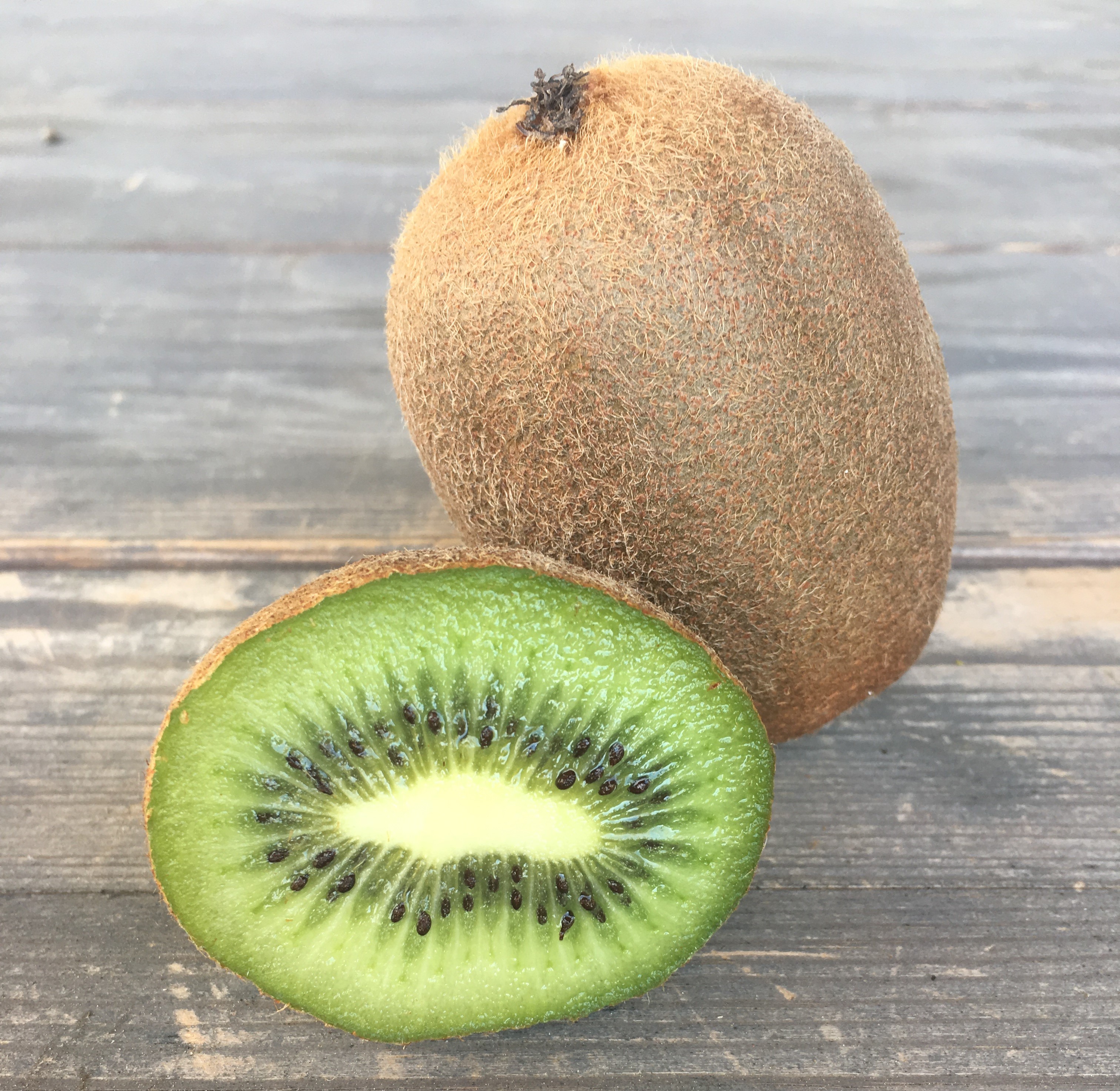 Kiwi HAYWARD